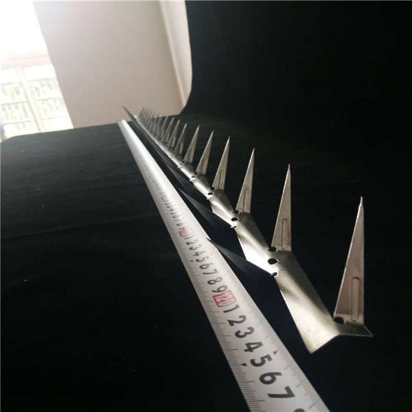 50圈刺絲滾籠 鋼刺絲刀片刺繩廠 防護(hù)鍍鋅鐵絲網(wǎng)帶刺