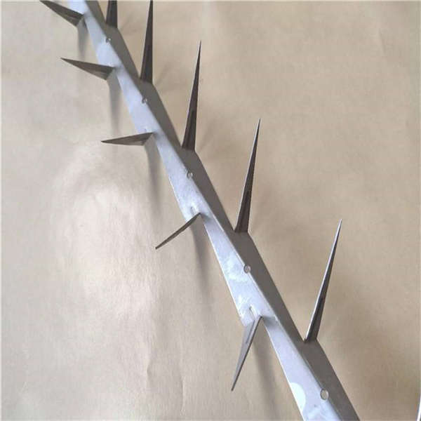 工廠墻頭防爬刺滾輪 護(hù)欄墻螺旋刺網(wǎng) 201不銹鋼刺繩泓宸輝