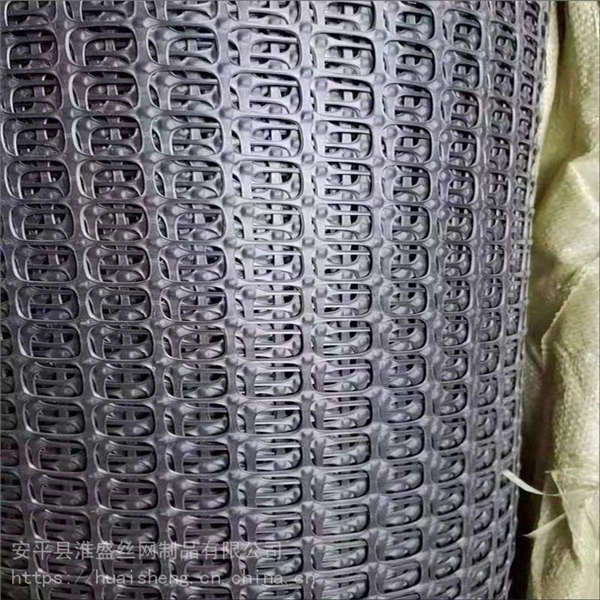 黑色方格魚塘圍欄網 3公分塑料防護網 圈果園菜園護欄網泓宸輝