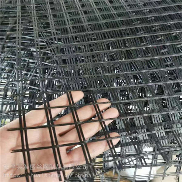 pet禽類塑料養(yǎng)殖網 雙向抗拉力土工格柵 圈地圈山防護網