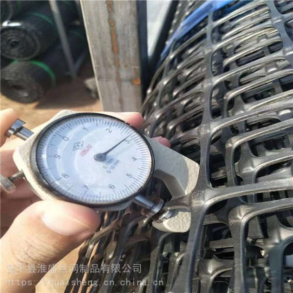 2.5毫米厚塑料網 加厚pet塑料養(yǎng)殖網 塑料土工隔離網泓宸輝