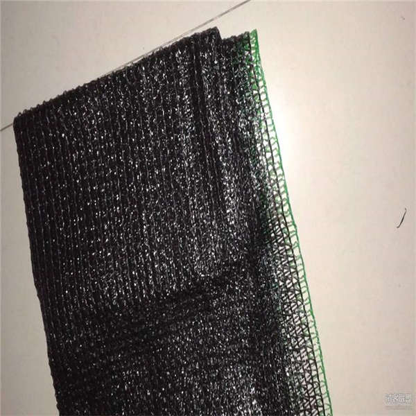 農(nóng)村農(nóng)場覆蓋黑色防風(fēng)網(wǎng) 8針遮陽網(wǎng) 玻璃房臨時防護網(wǎng)